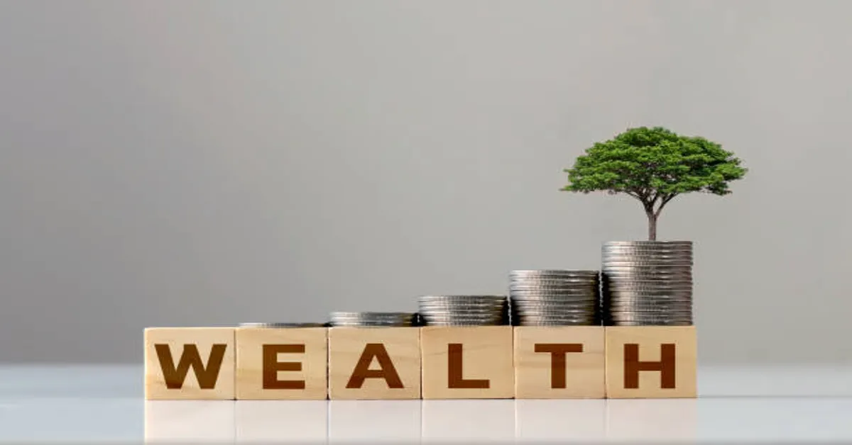 Pedrovazpaulo Wealth Investment